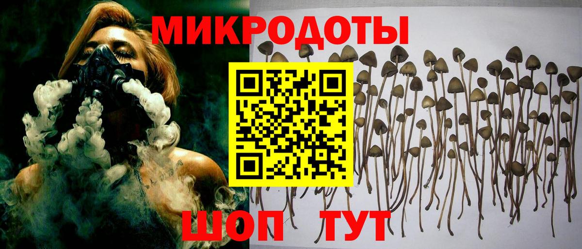 Псилоцибиновые грибы мухоморы Химки
