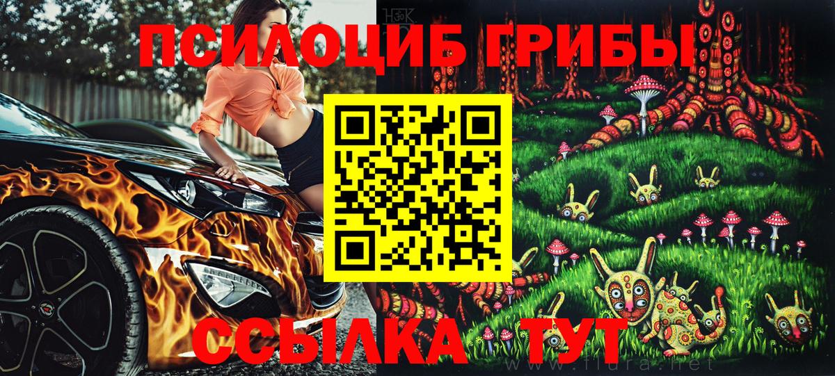 Псилоцибиновые грибы Cubensis  Вход с VPN  Псилоцибиновые грибы Cubensis  Химки 